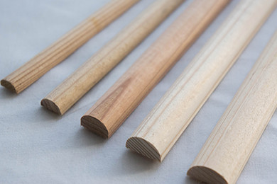 杉半月のみ画像